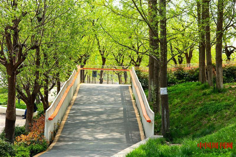 雁南公園無(wú)障礙步行橋入口.jpg